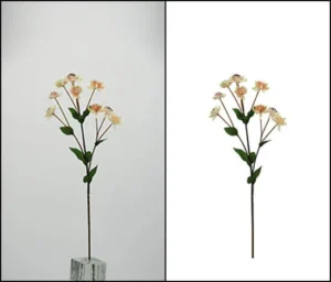 image-clipping-services