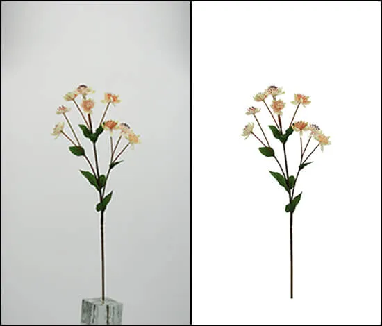 image-clipping-services